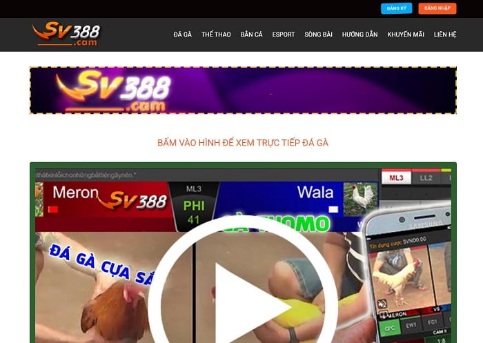 Bí quyết làm nên sự giàu có hạng 2Q - 2Q