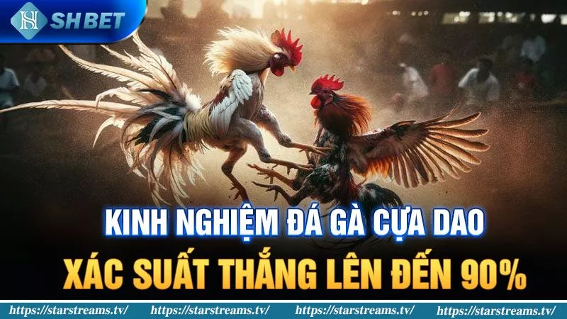 Giải thích của M8win về việc lưu trữ trong két an toàn - M8win
