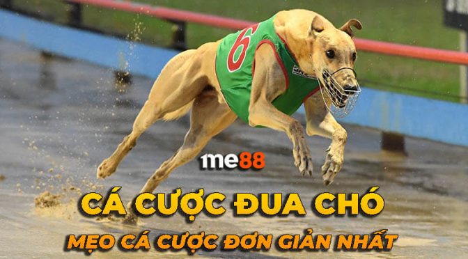 Một hệ thống thư viện trò chơi R98 đa dạng - R98