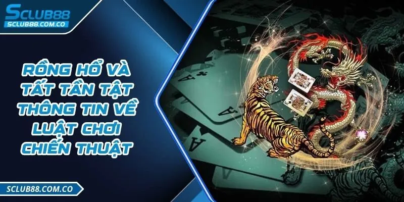 Xem ngay bảng xếp hạng 9Dbet mới nhất! - 9Dbet