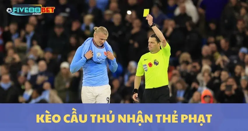 Điều khoản và điều kiện của chương trình khuyến mãi chào mừng nhà tài trợ Ee88 - Ee88