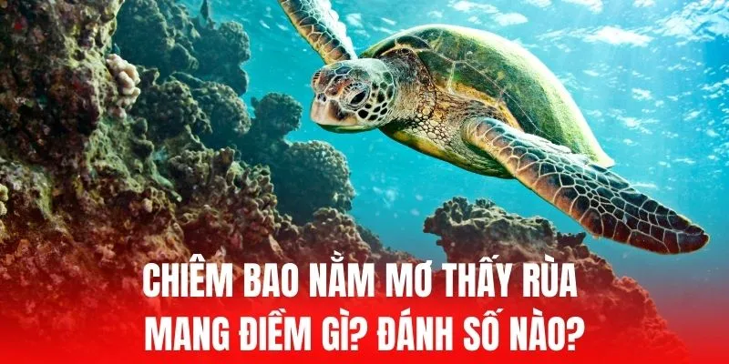 Tổng quan về các kênh dịch vụ khách hàng trong các trò chơi cấp độ Pkvip - Pkvip