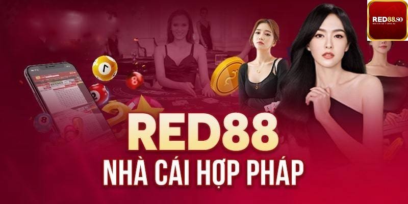 Mg188 triển khai một số hoạt động khuyến mãi vô cùng hấp dẫn - Mg188