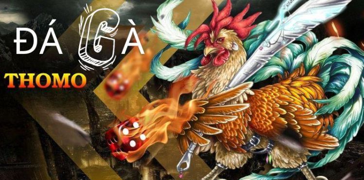 Đánh giá trải nghiệm cá cược Haywin - Haywin