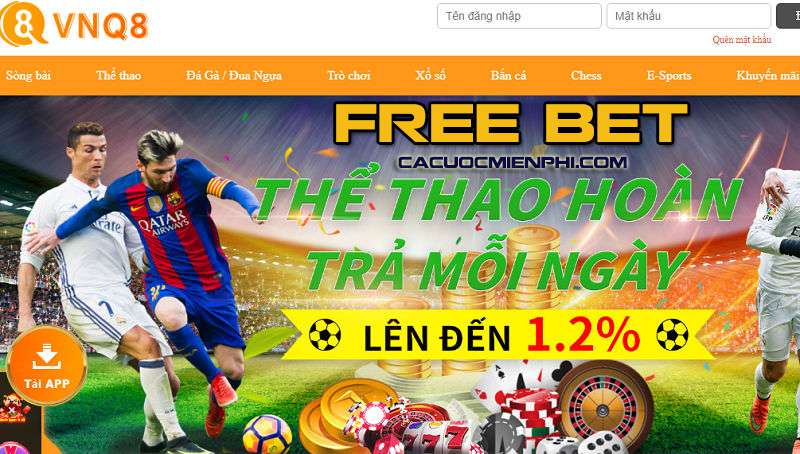 Cách luyện tập trò chơi biểu diễn hổ cấp độ 388Bet một cách an toàn - 388Bet