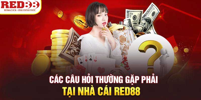 Dp568 sắp tổ chức một sự kiện khuyến mãi vô cùng hấp dẫn – đừng bỏ lỡ! - Dp568