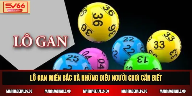 Chính sách hoa hồng cho đại lý của Km88 rất cao - Km88