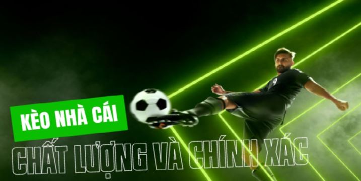 Máy đánh bạc 79Win, máy đánh bạc di động được xếp hạng số một - 79Win