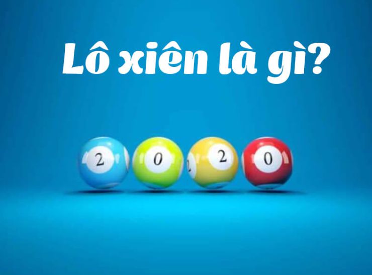 Liệu Nohu King có thực sự bị bắt và đóng cửa không? - Nohu