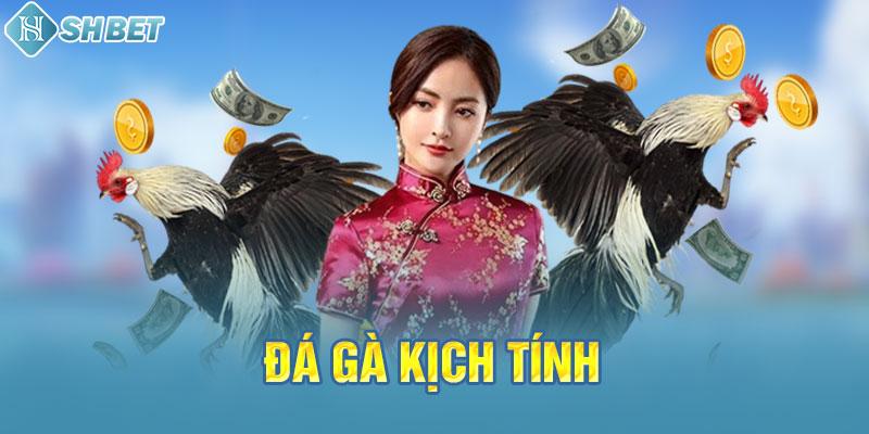 Những ưu điểm mà trang web của 6Ff Games mang lại cho khách hàng rất hấp dẫn - 6Ff