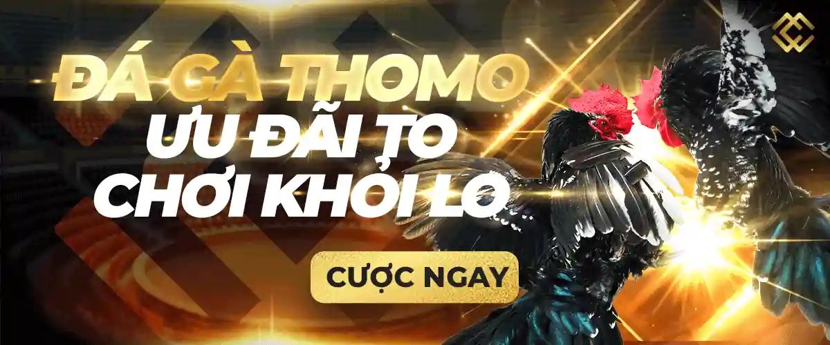 Tiền thưởng khi đến nơi hạng Mot88 - Mot88