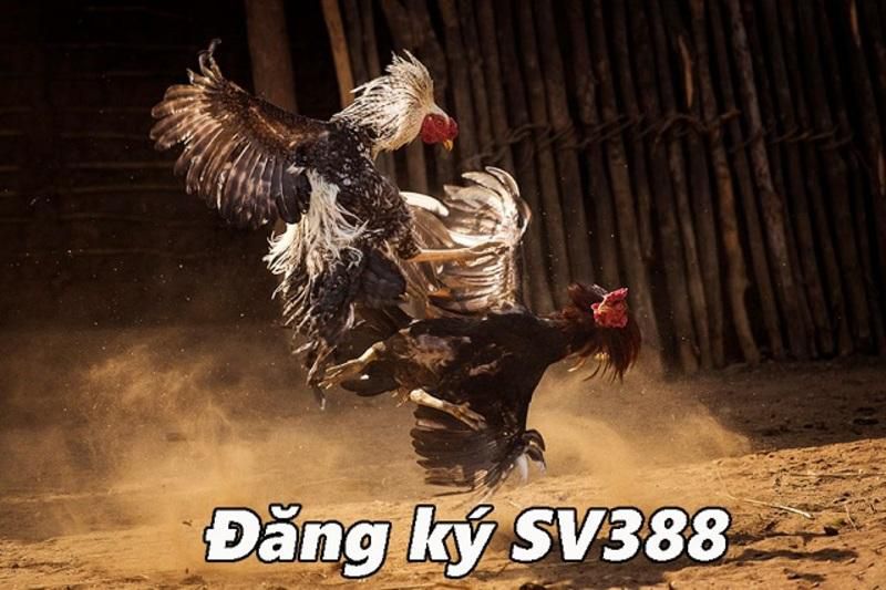 Tổng quan về các công ty game nổi tiếng thuộc phân khúc 18Bet - 18Bet